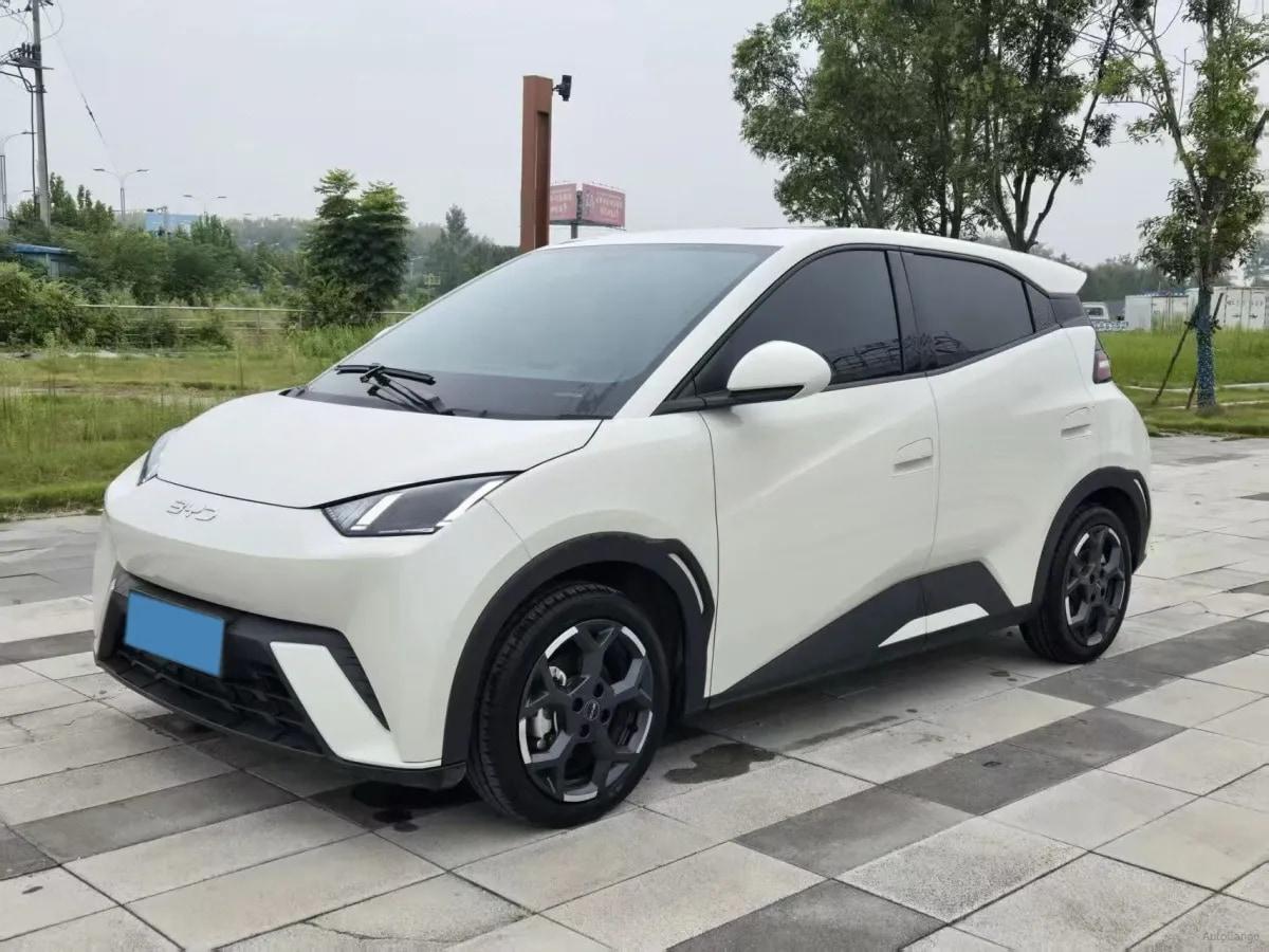 2025 BYD Seagull BEV 30.08KWH 305km image 1