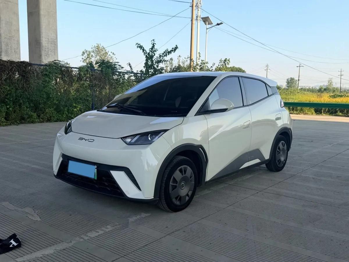2023 BYD Seagull BEV 30.08KWH 305km image 1