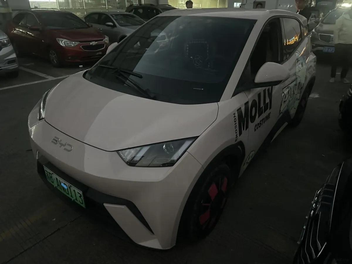2024 BYD Seagull BEV 30.08KWH 305km image 1