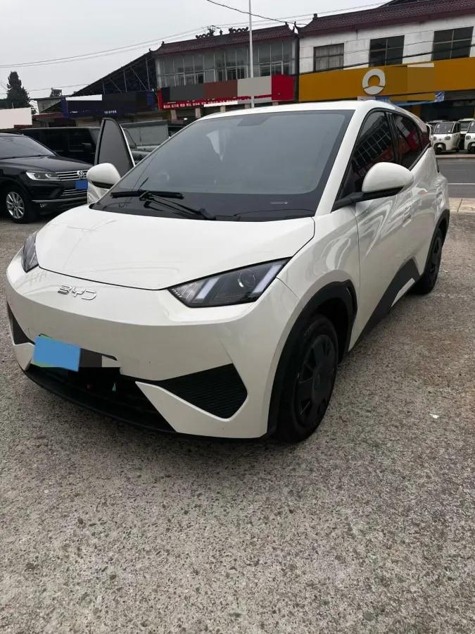 2025 BYD Seagull BEV 30.08KWH 305km image 1