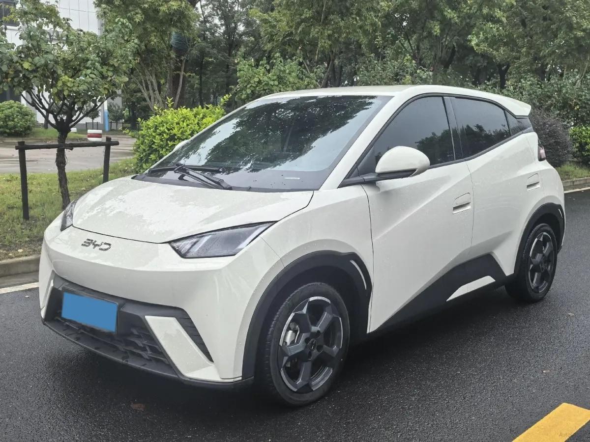 2024 BYD Seagull BEV 38.88KWH 405km image 1