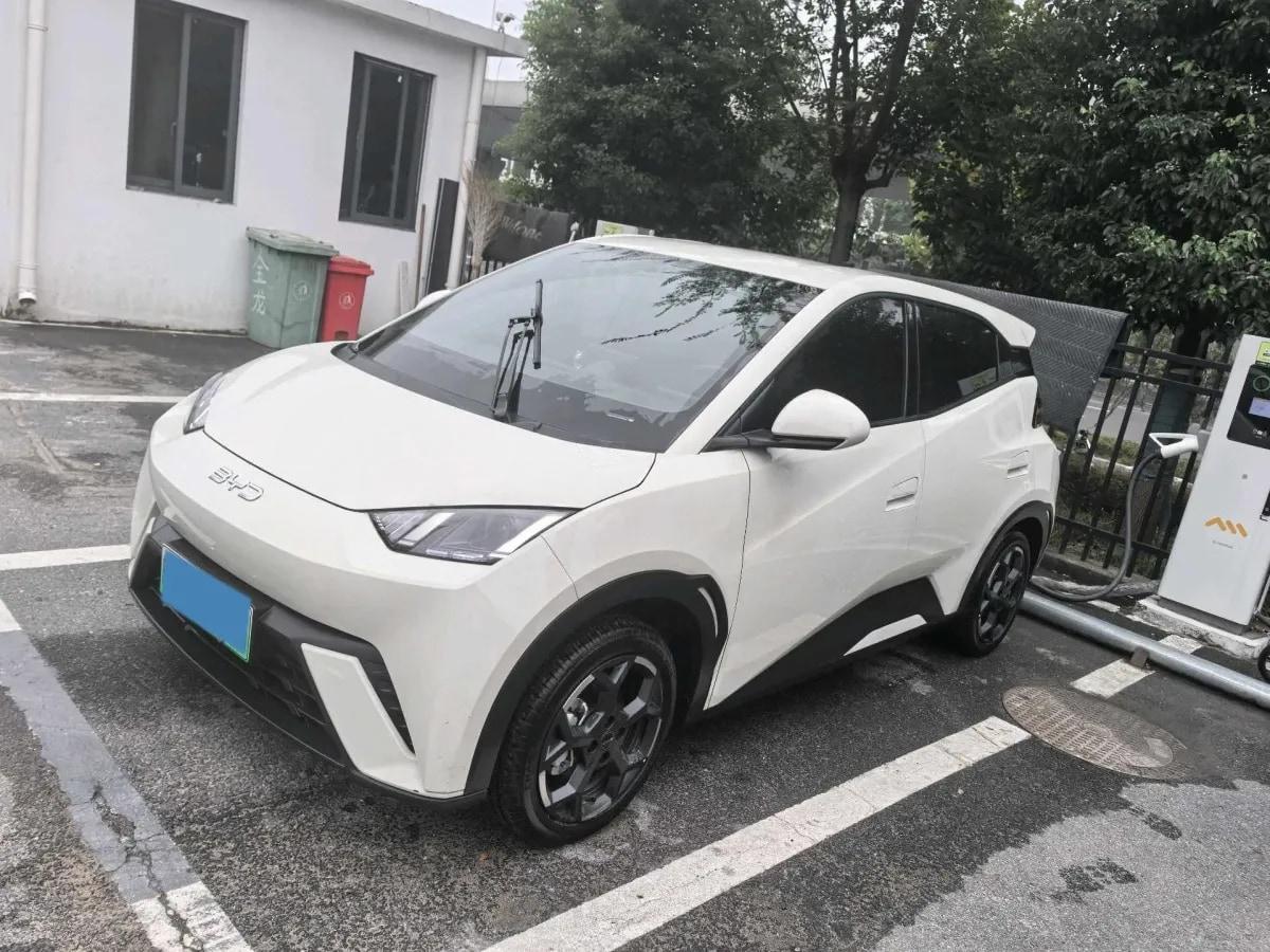 2025 BYD Seagull BEV 38.88KWH 405km image 1