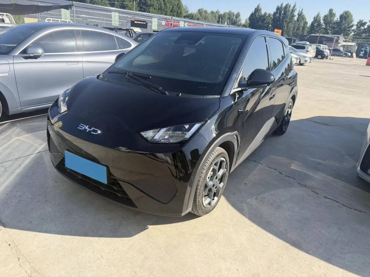 2025 BYD Seagull BEV 30.08KWH 305km image 1