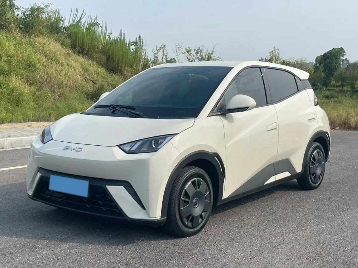 2025 BYD Seagull BEV 30.08KWH 305km image 1