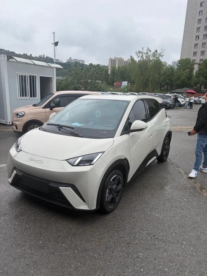 2023 BYD Seagull BEV 38.88KWH 405km image 1
