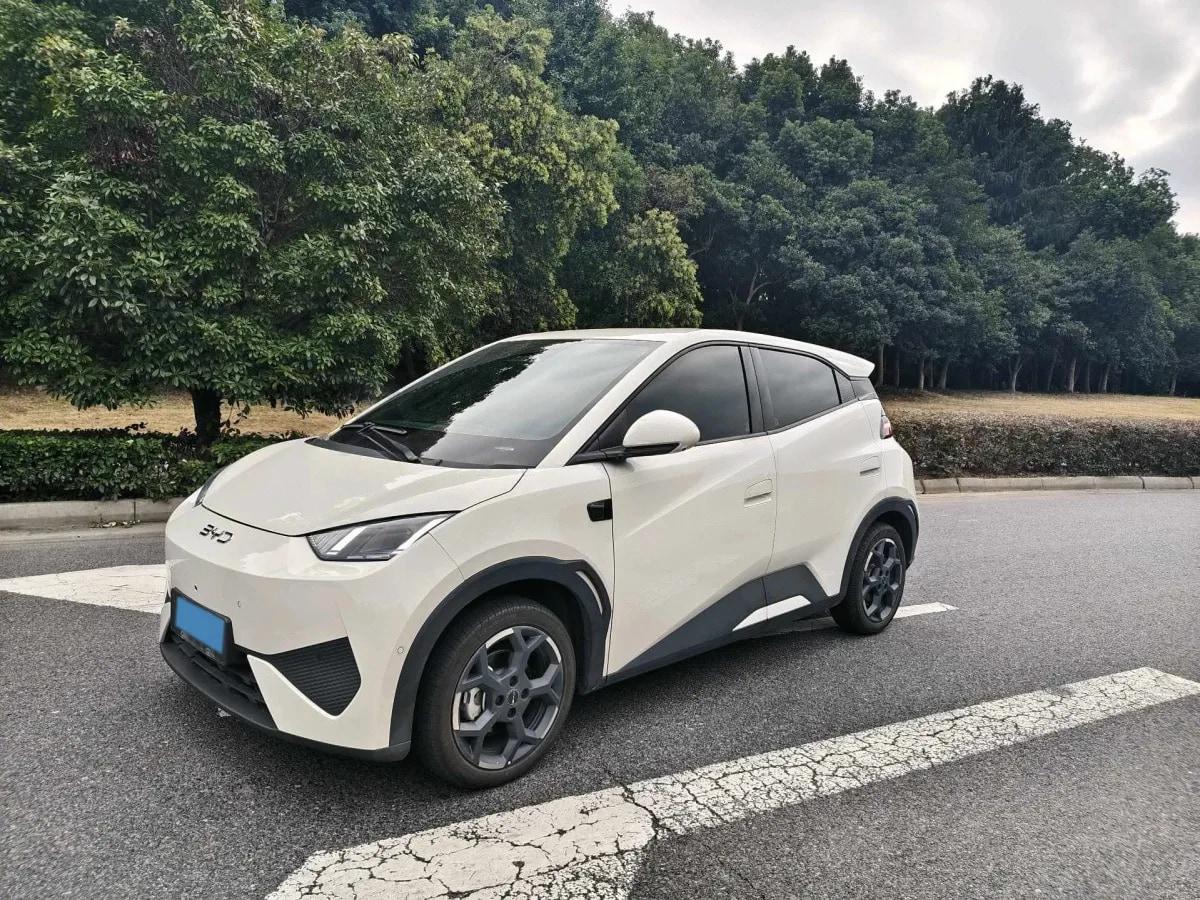 2025 BYD Seagull BEV 30.08KWH 305km image 1