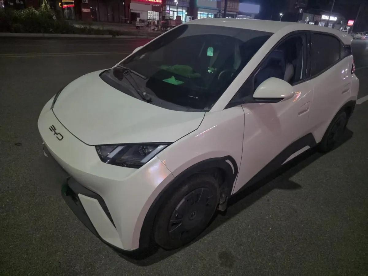 2024 BYD Seagull BEV 30.08KWH 305km image 1