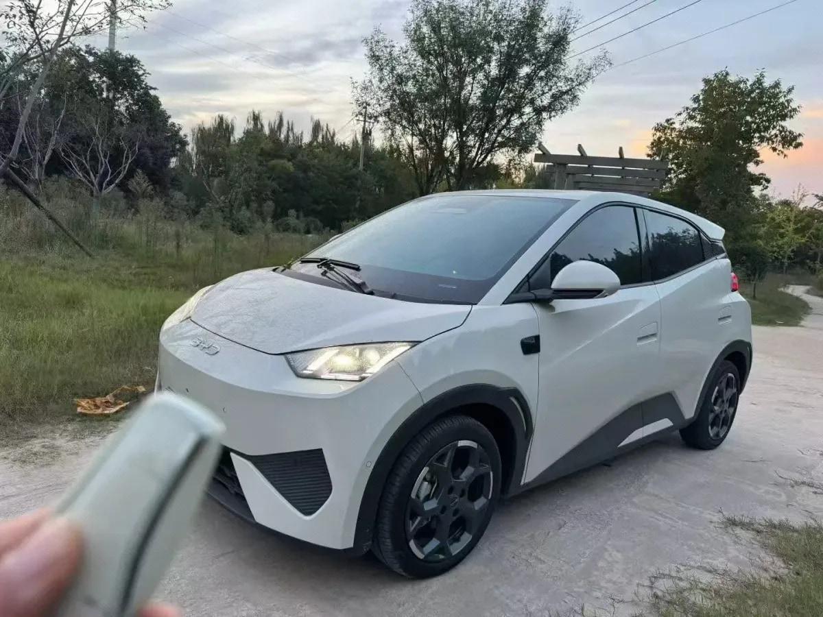 2025 BYD Seagull BEV 38.88KWH 405km image 1