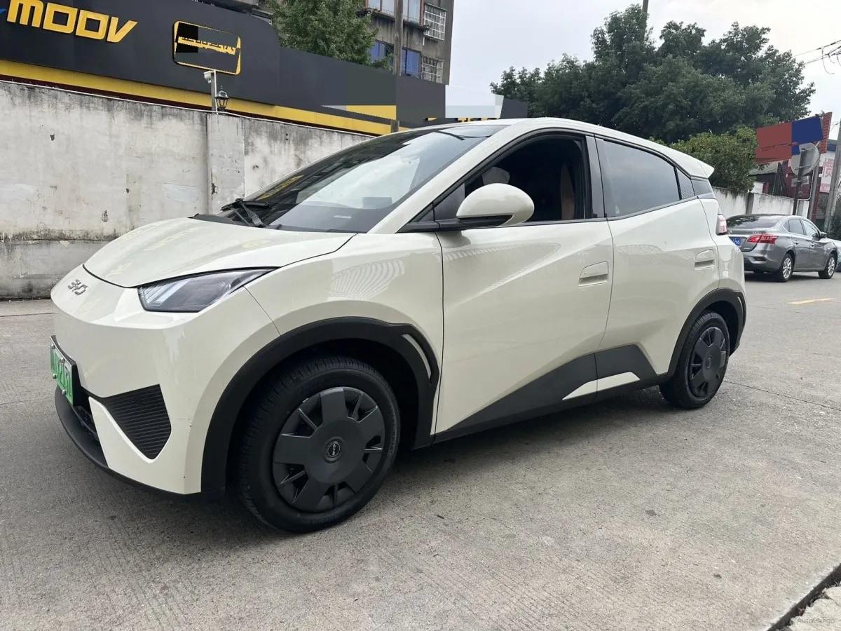 2025 BYD Seagull BEV 30.08KWH 305km image 1