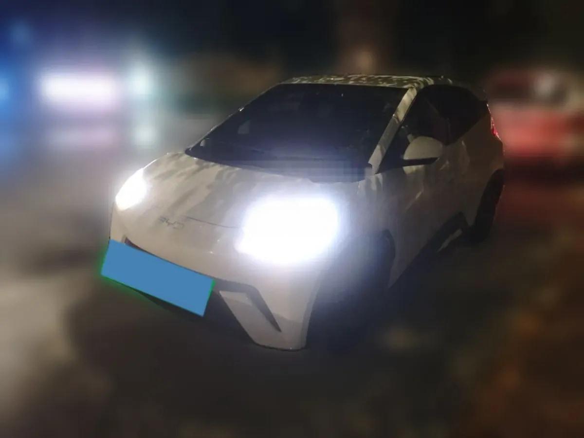 2025 BYD Seagull BEV 30.08KWH 305km image 1
