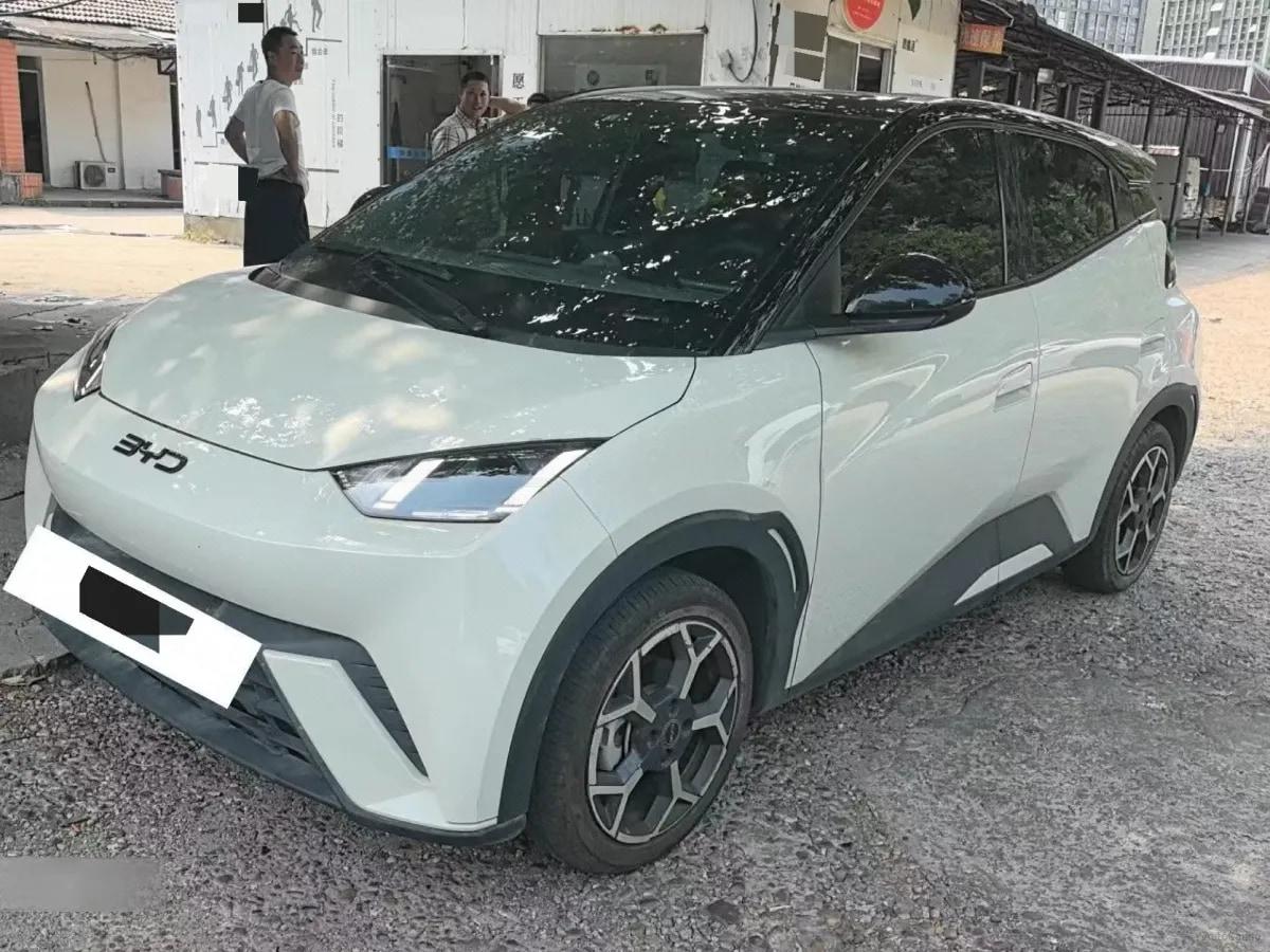 2024 BYD Seagull BEV 30.08KWH 305km image 1