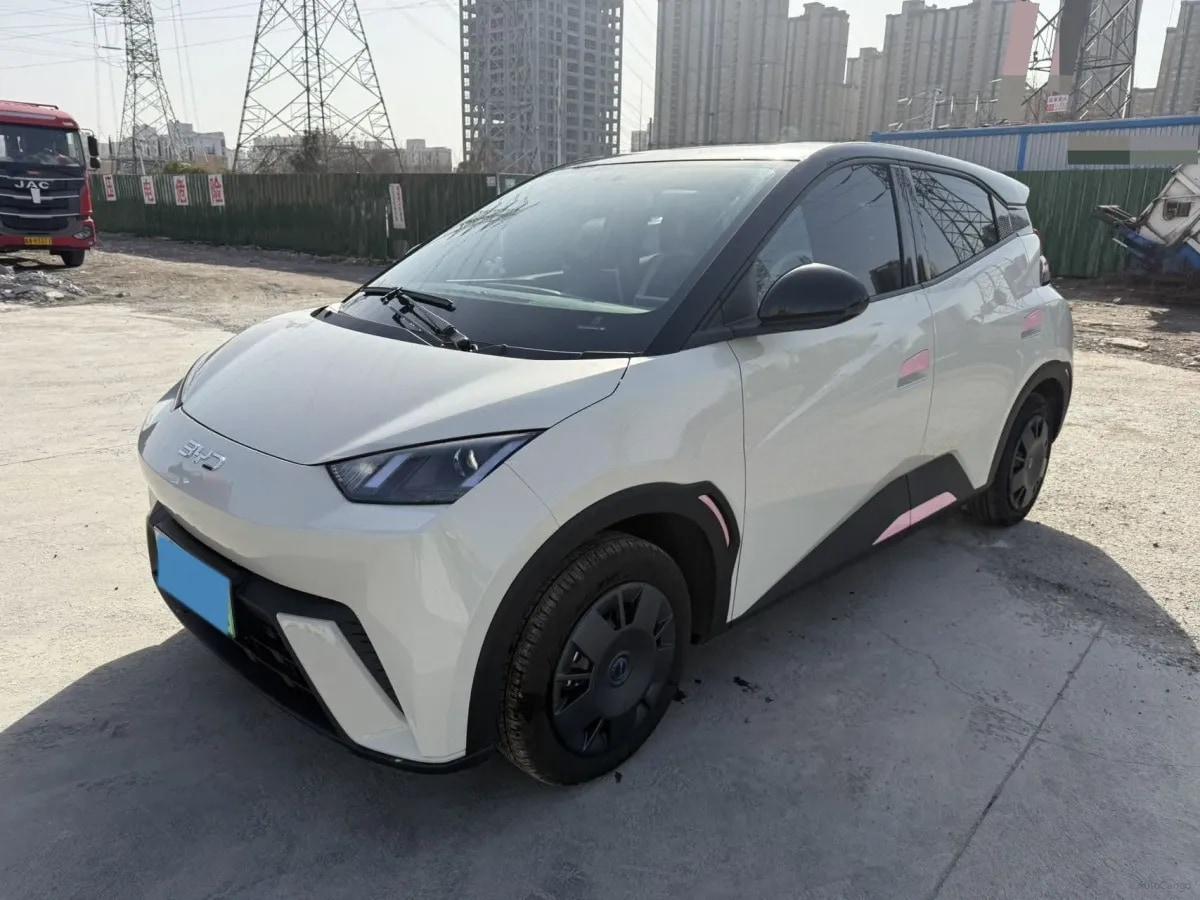 2025 BYD Seagull BEV 30.08KWH 305km image 1