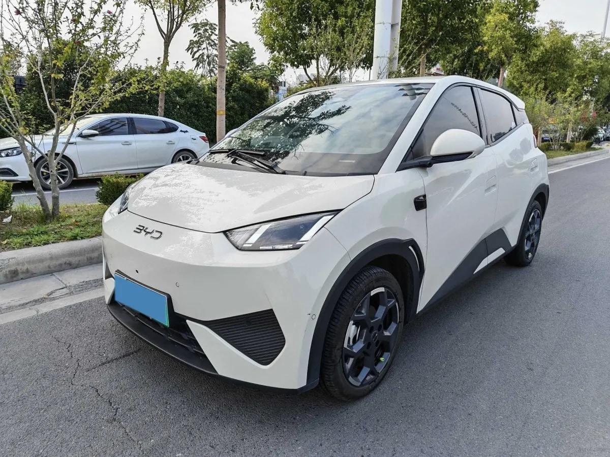2025 BYD Seagull BEV 38.88KWH 405km image 1