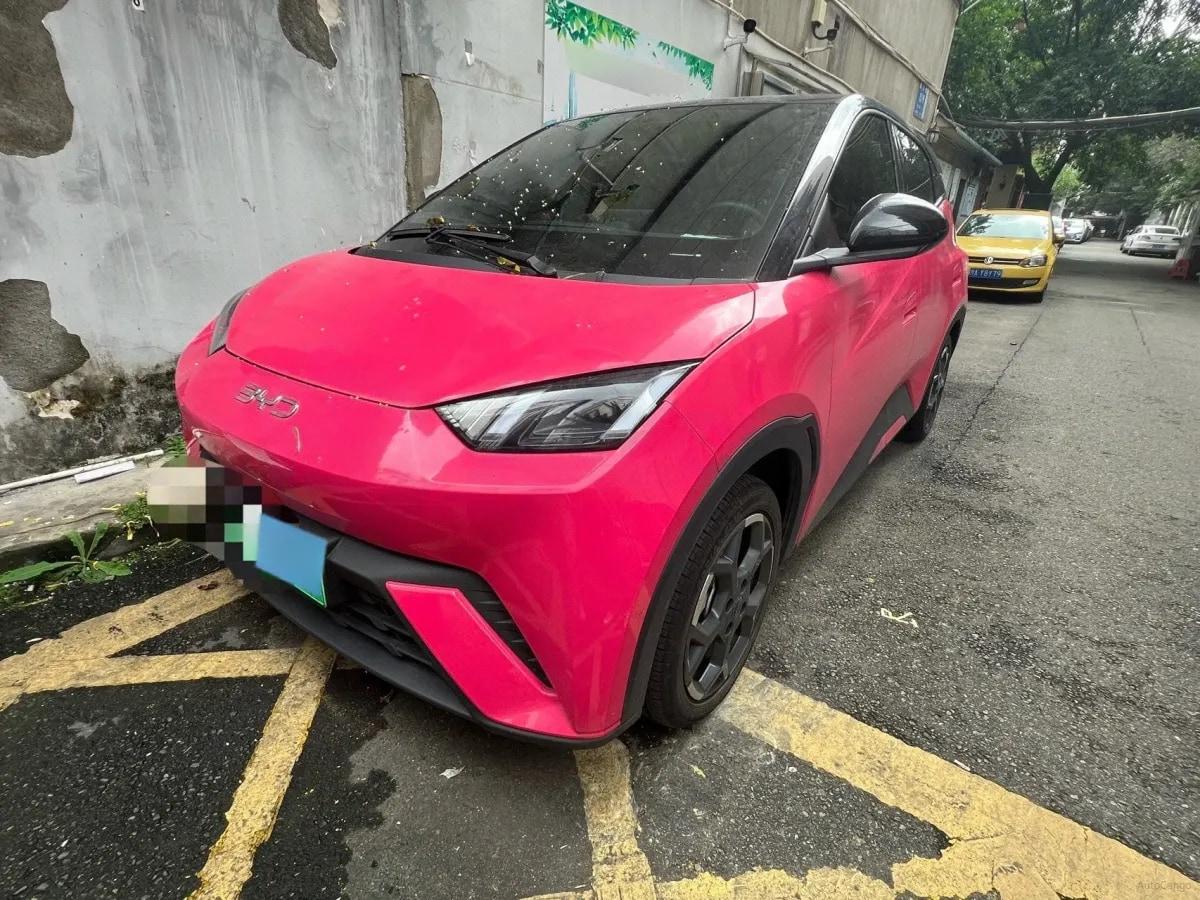 2024 BYD Seagull BEV 30.08KWH 305km image 1