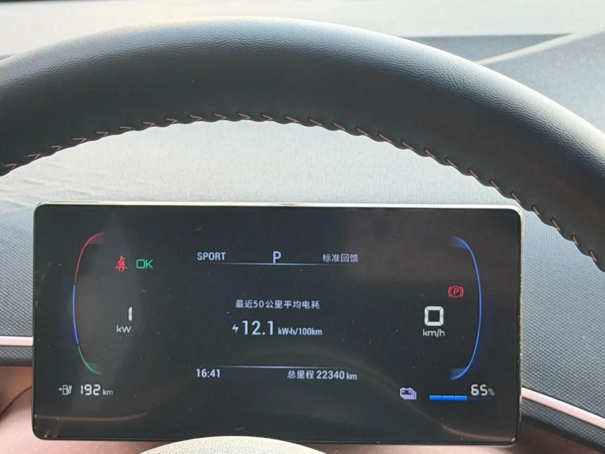 2023 BYD Seagull BEV 30.08KWH 305km image 10