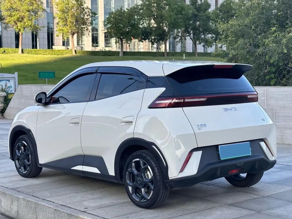 2025 BYD Seagull BEV 30.08KWH 305km image 10