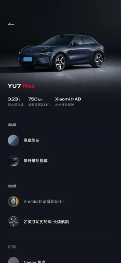2025 Xiaomi YU7 BEV 101.7KWH image 10