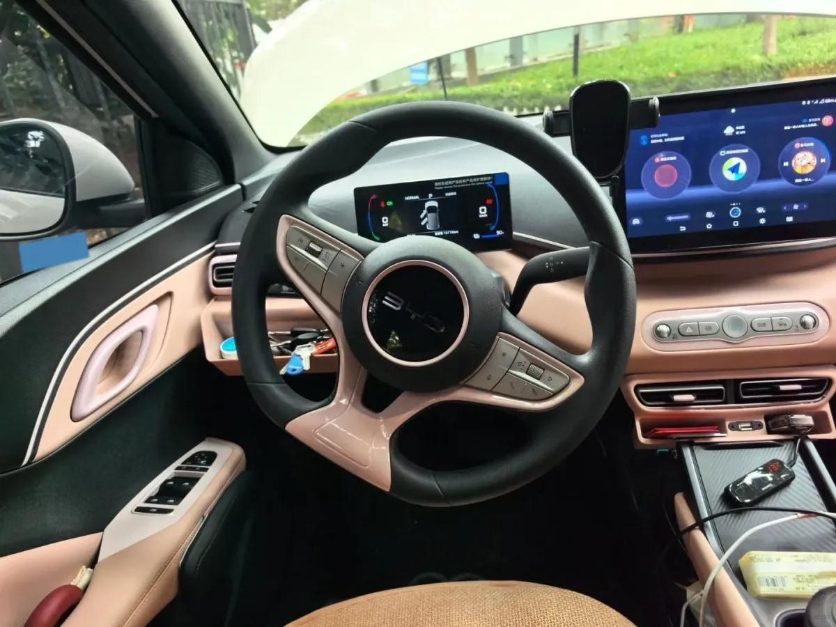 2025 BYD Seagull BEV 30.08KWH 305km image 11