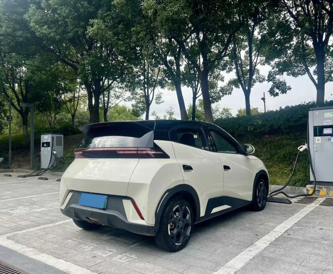 2025 BYD Seagull BEV 30.08KWH 305km image 13