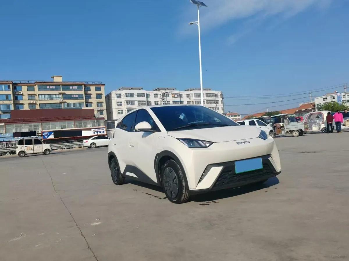 2025 BYD Seagull BEV 30.08KWH 305km image 2