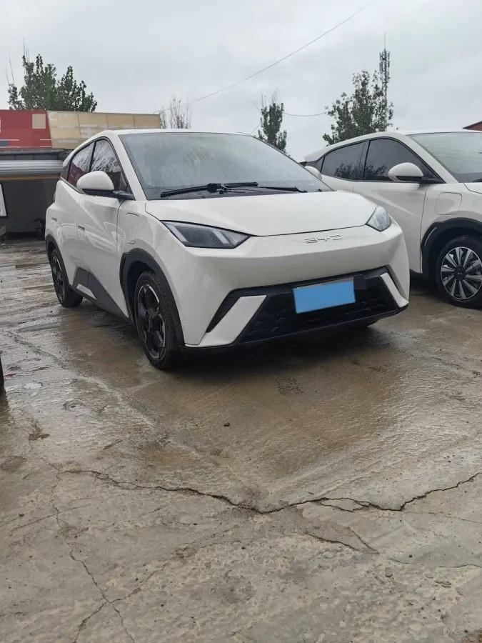 2023 BYD Seagull BEV 30.08KWH 305km image 2