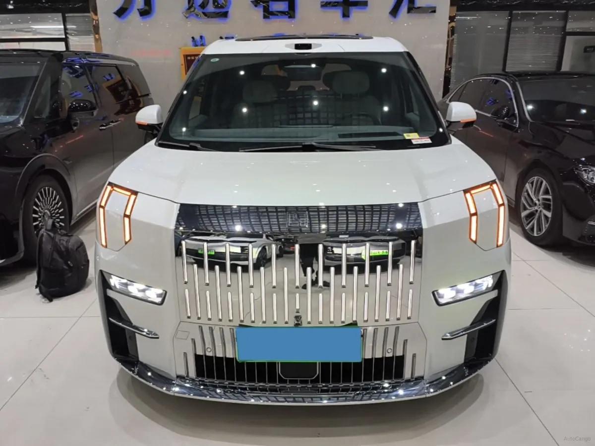 2024 Zeekr 009 BEV 108KWH 702km image 2