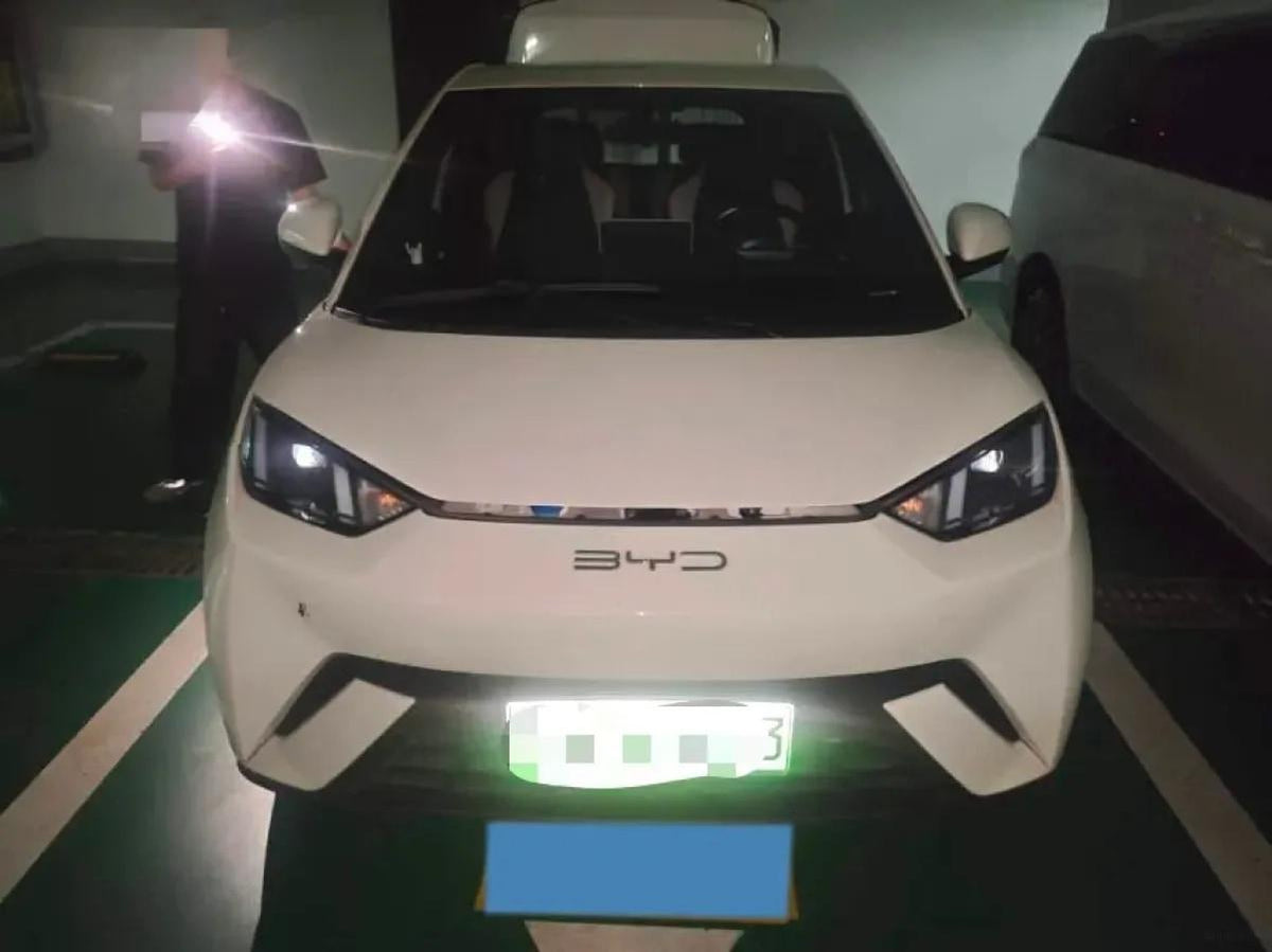 2023 BYD Seagull BEV 30.08KWH 305km image 2