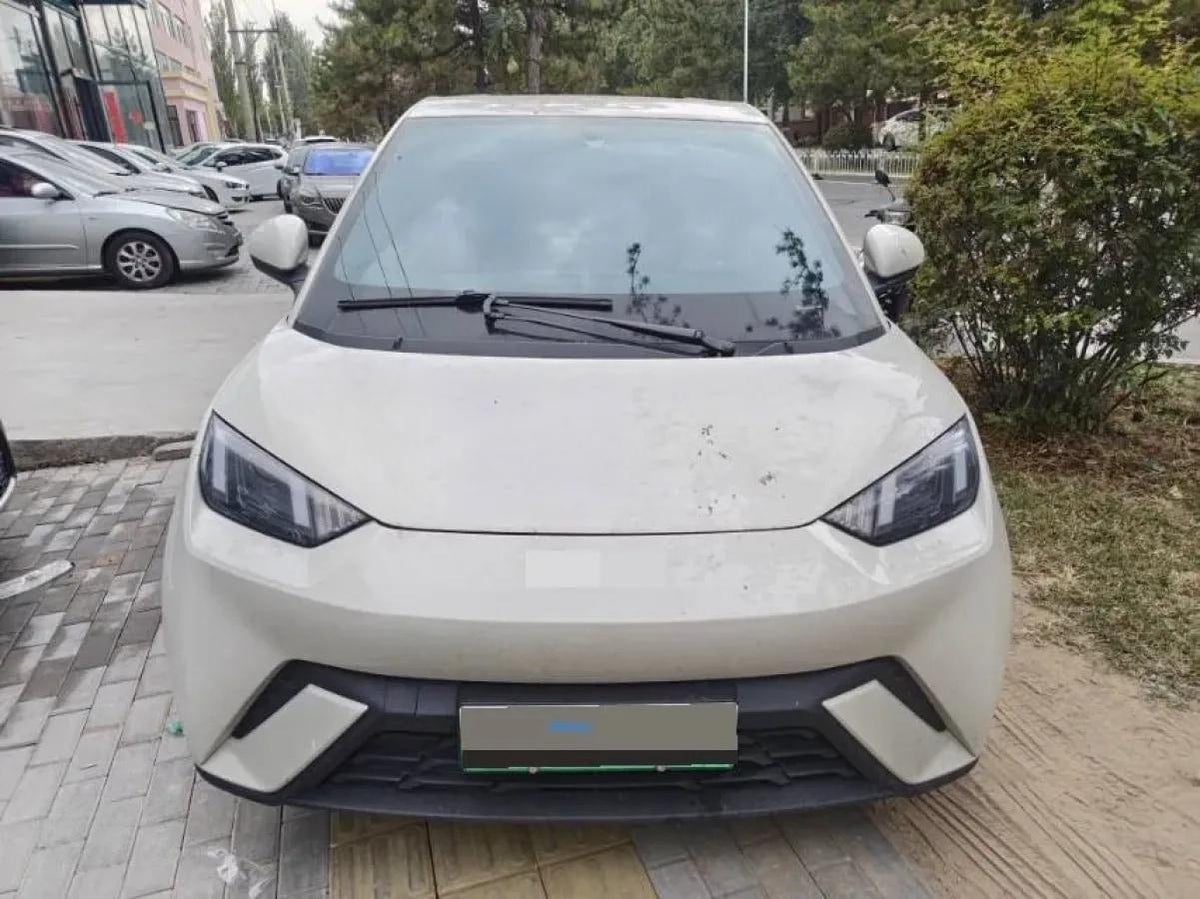 2025 BYD Seagull BEV 30.08KWH 305km image 2