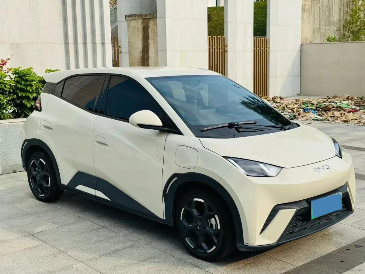 2024 BYD Seagull BEV 30.08KWH 305km image 2