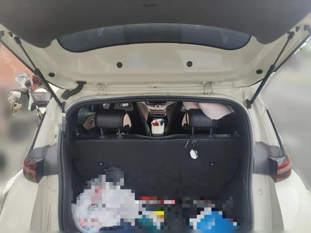 2024 BYD Seagull BEV 30.08KWH 305km image 20