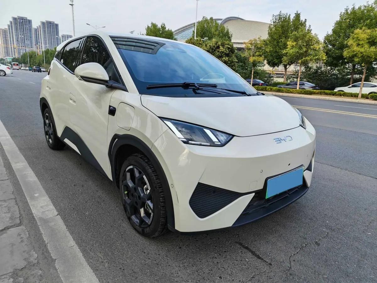 2025 BYD Seagull BEV 38.88KWH 405km image 3