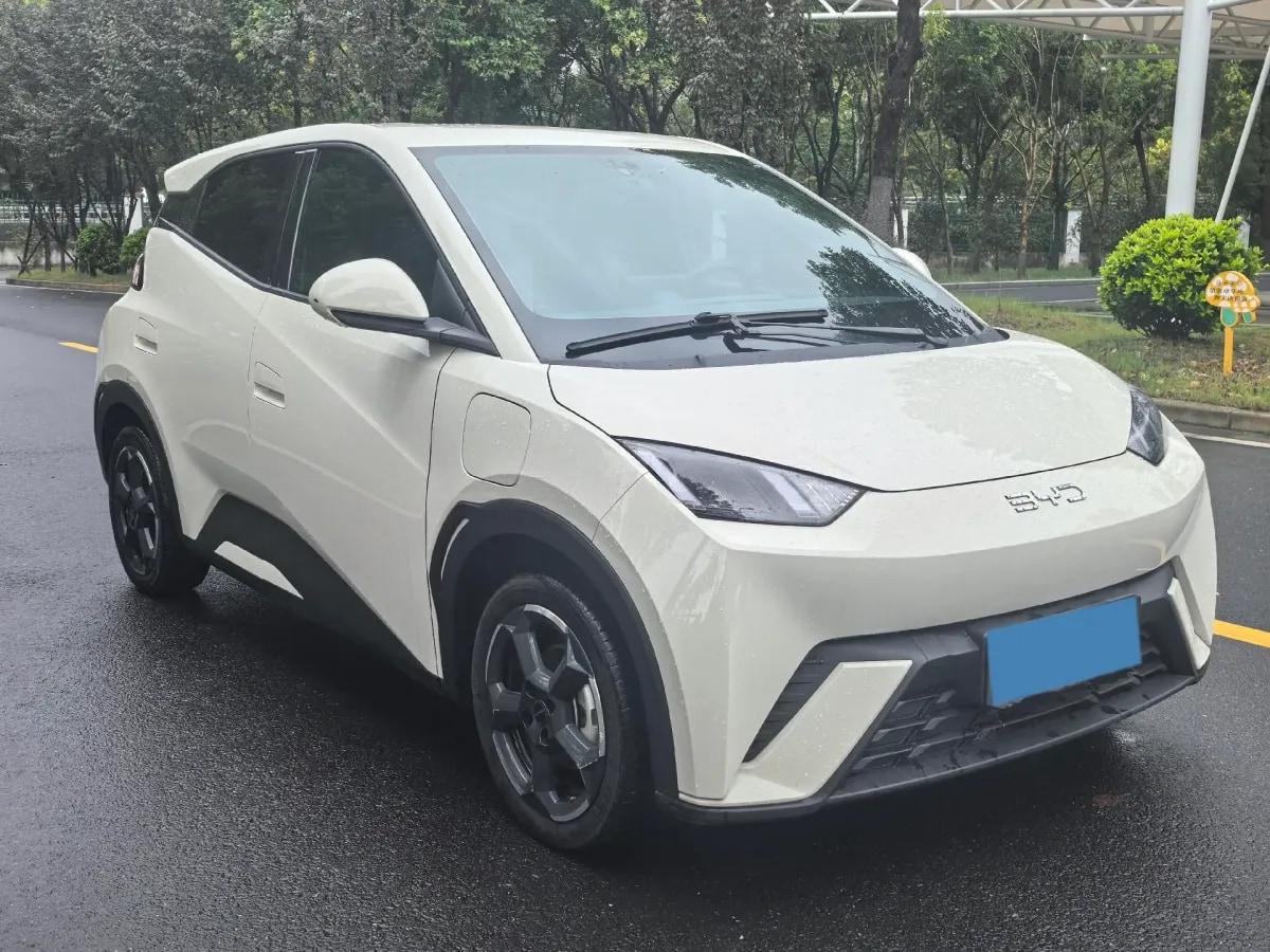 2024 BYD Seagull BEV 38.88KWH 405km image 3