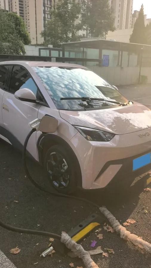 2025 BYD Seagull BEV 38.88KWH 405km image 3