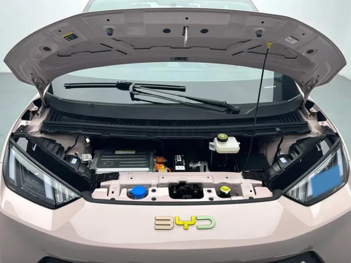 2024 BYD Seagull BEV 30.08KWH 305km image 3