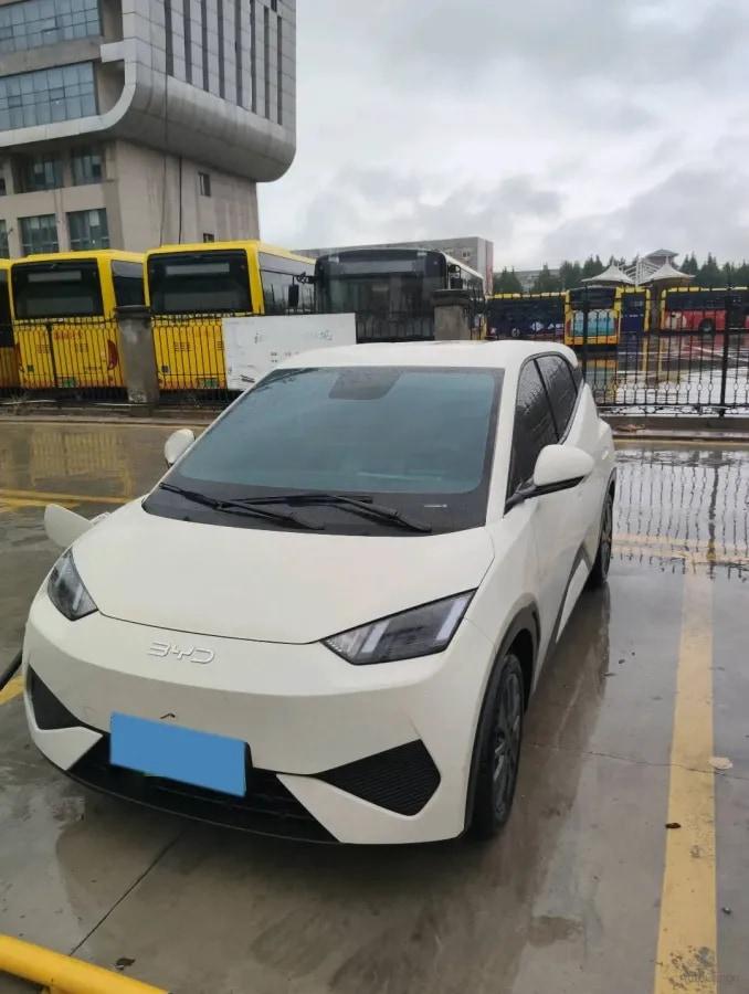 2026 BYD Seagull BEV 38.88KWH 405km image 3