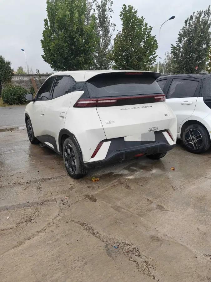 2023 BYD Seagull BEV 30.08KWH 305km image 4