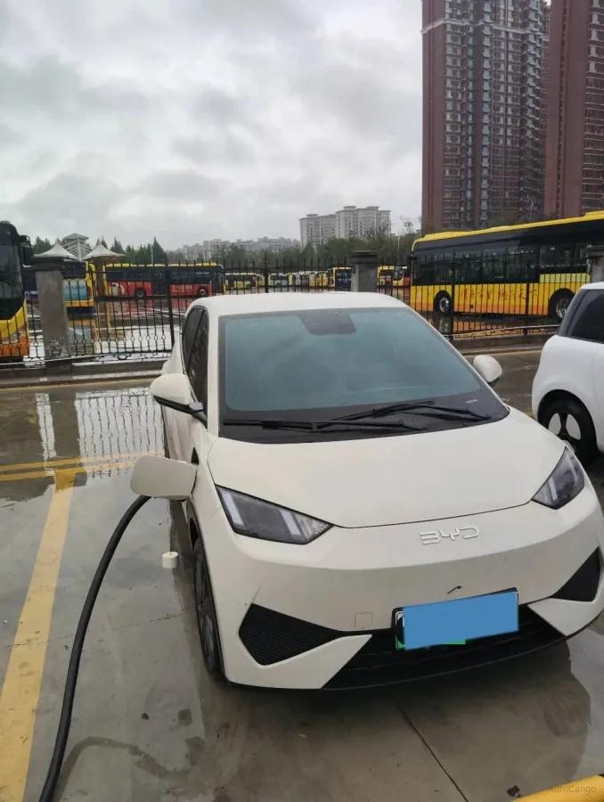 2026 BYD Seagull BEV 38.88KWH 405km image 4