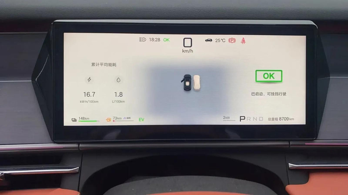 2025 BYD Tang L 1.5T 156HP L4 E-CVT PHEV 35.6KWH 175km image 5