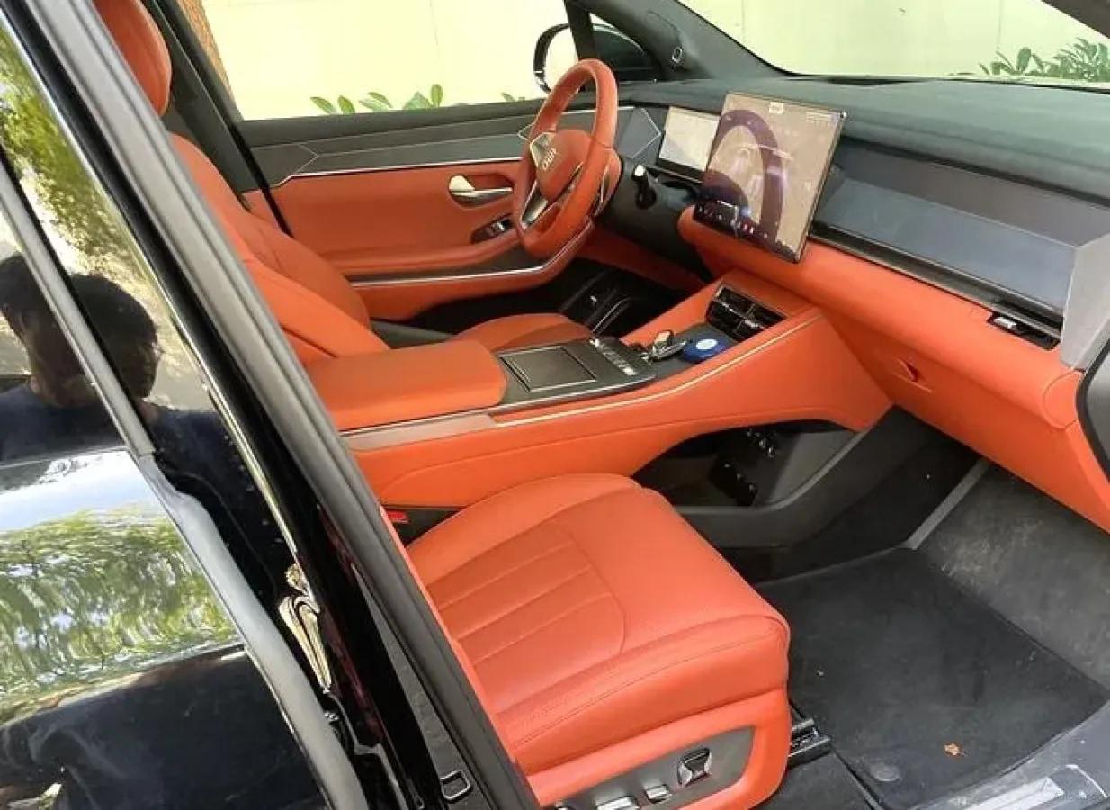 2025 BYD TangL BEV image 5