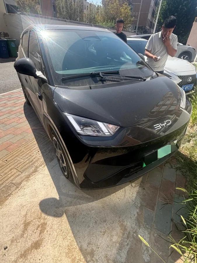 2025 BYD Seagull BEV 30.08KWH 305km image 5