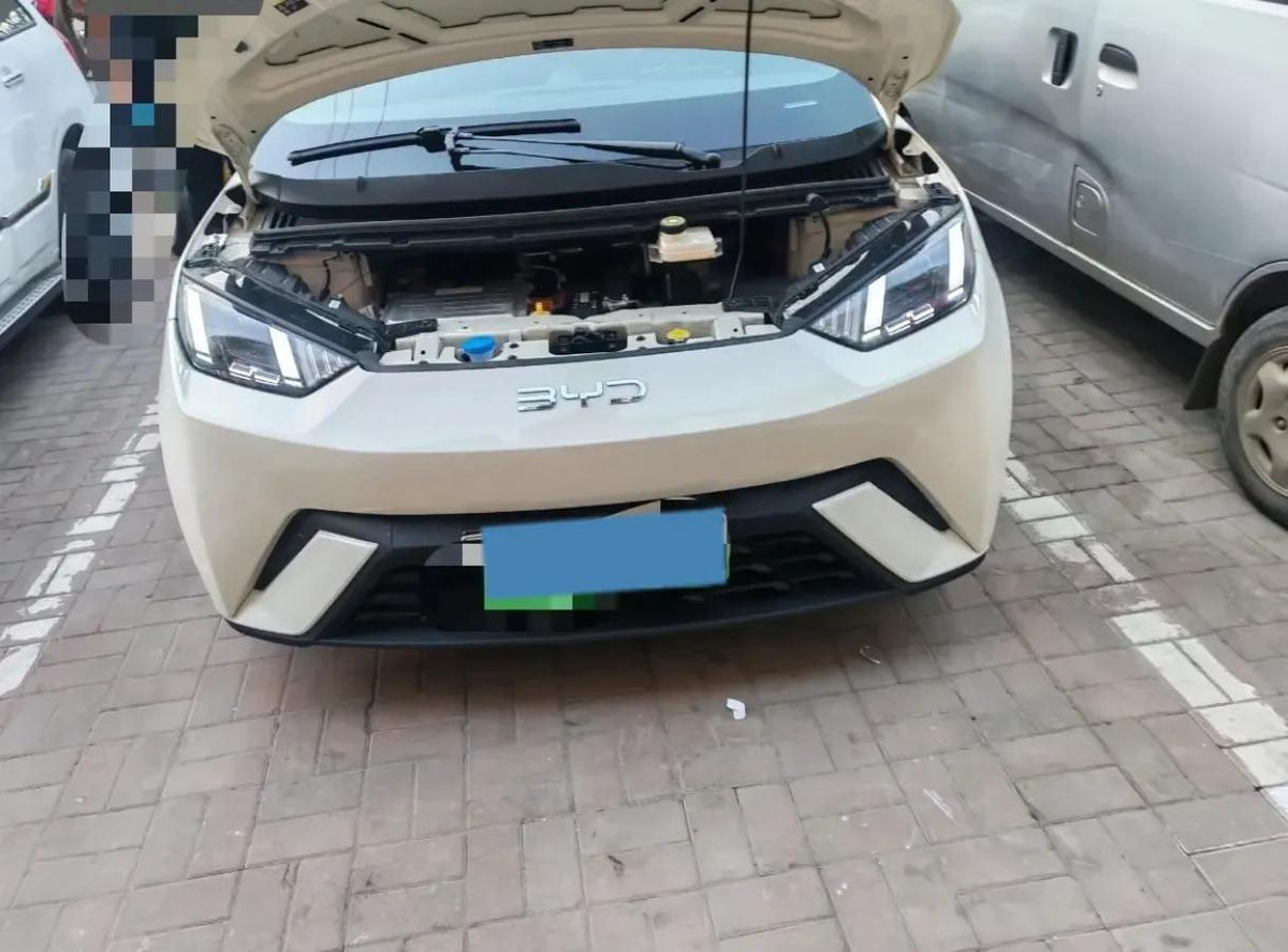 2025 BYD Seagull BEV 38.88KWH 405km image 5
