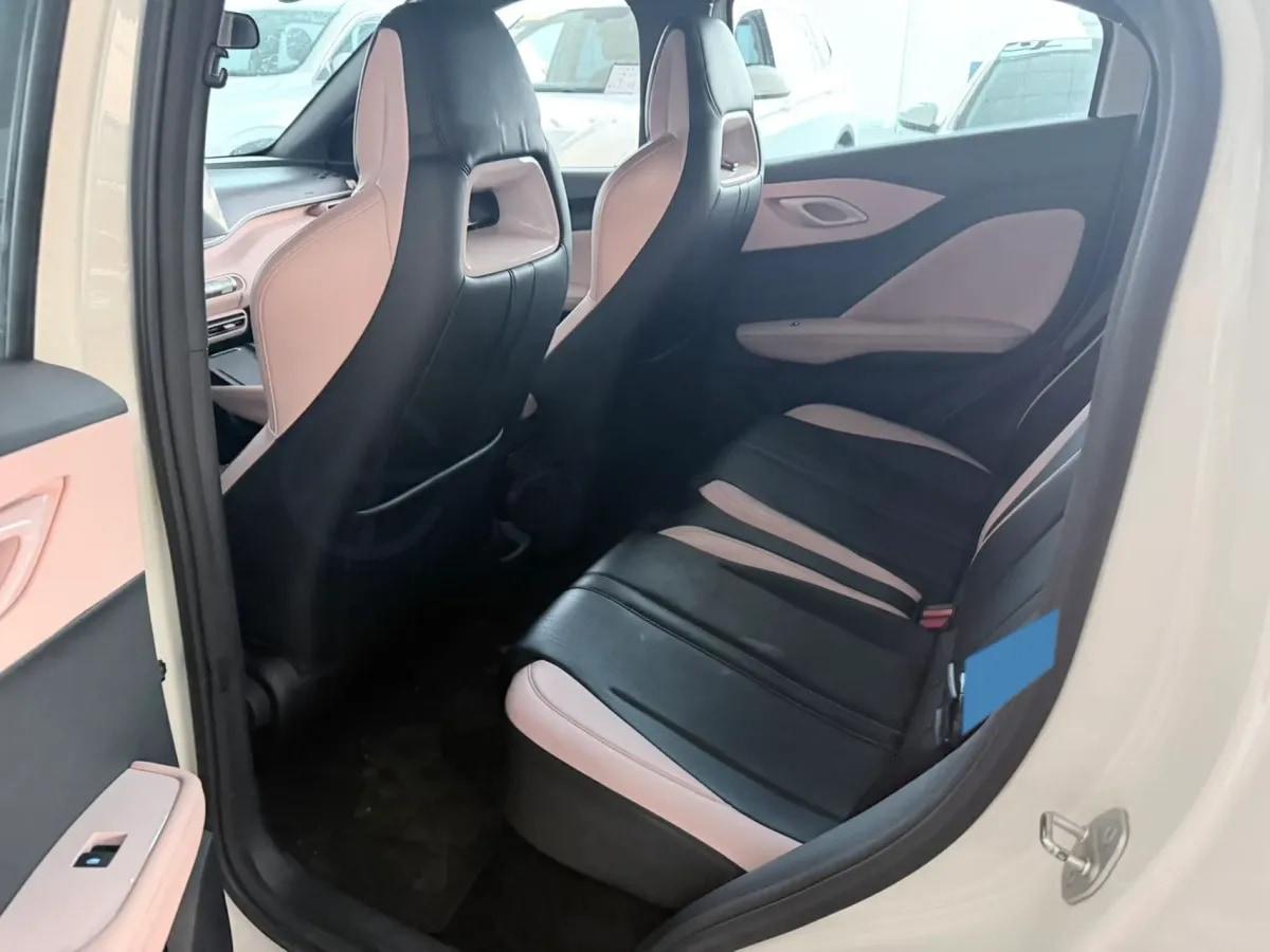 2023 BYD Seagull BEV 30.08KWH 305km image 6