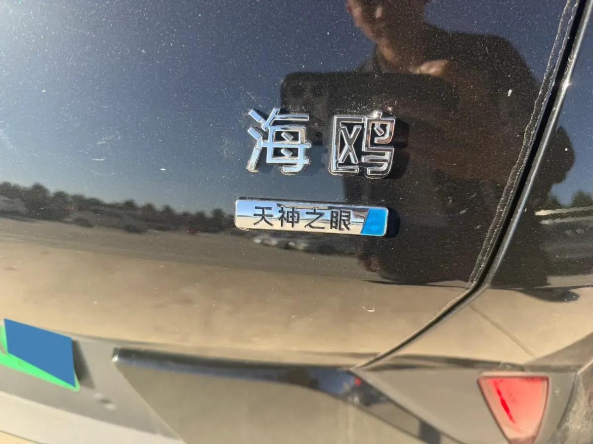 2025 BYD Seagull BEV 30.08KWH 305km image 7
