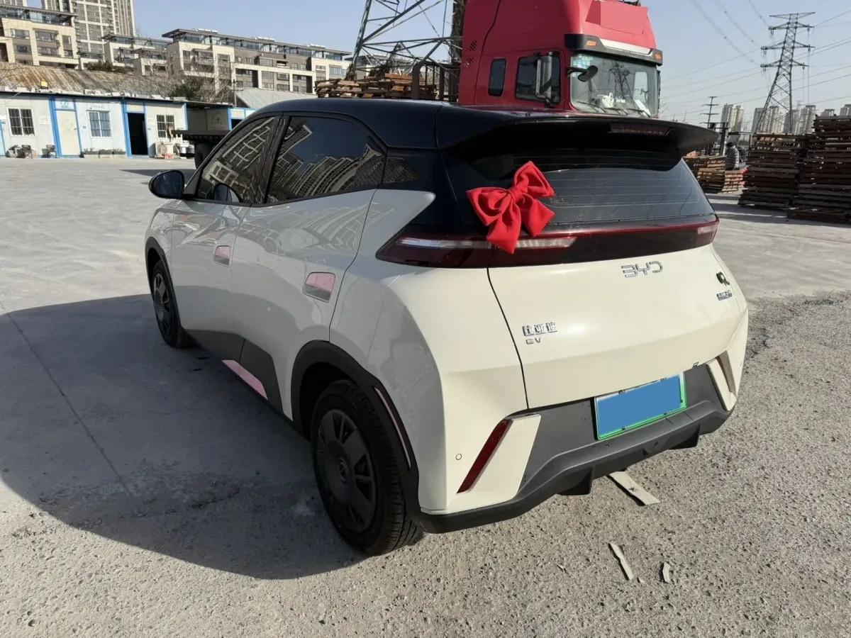 2025 BYD Seagull BEV 30.08KWH 305km image 9