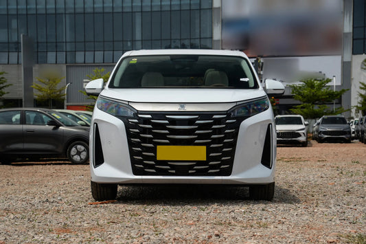 BYD Xia (2025)
